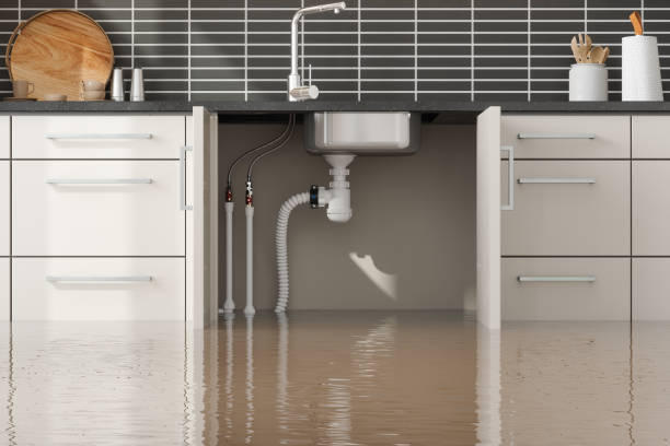 Best Water damage cleanup near me  in South Windham, CT